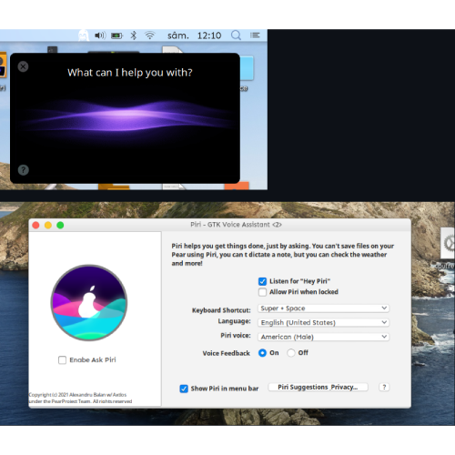 Frontend Asistent Vocal pentru Linux